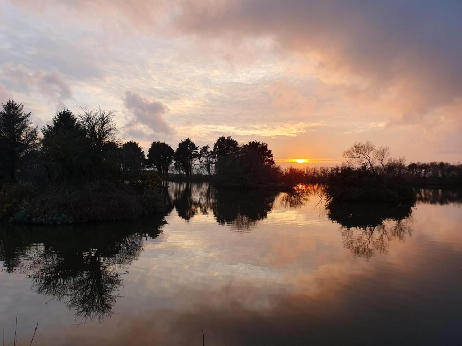 Lakeside Glamping Firecrest St Columb Major Extérieur photo