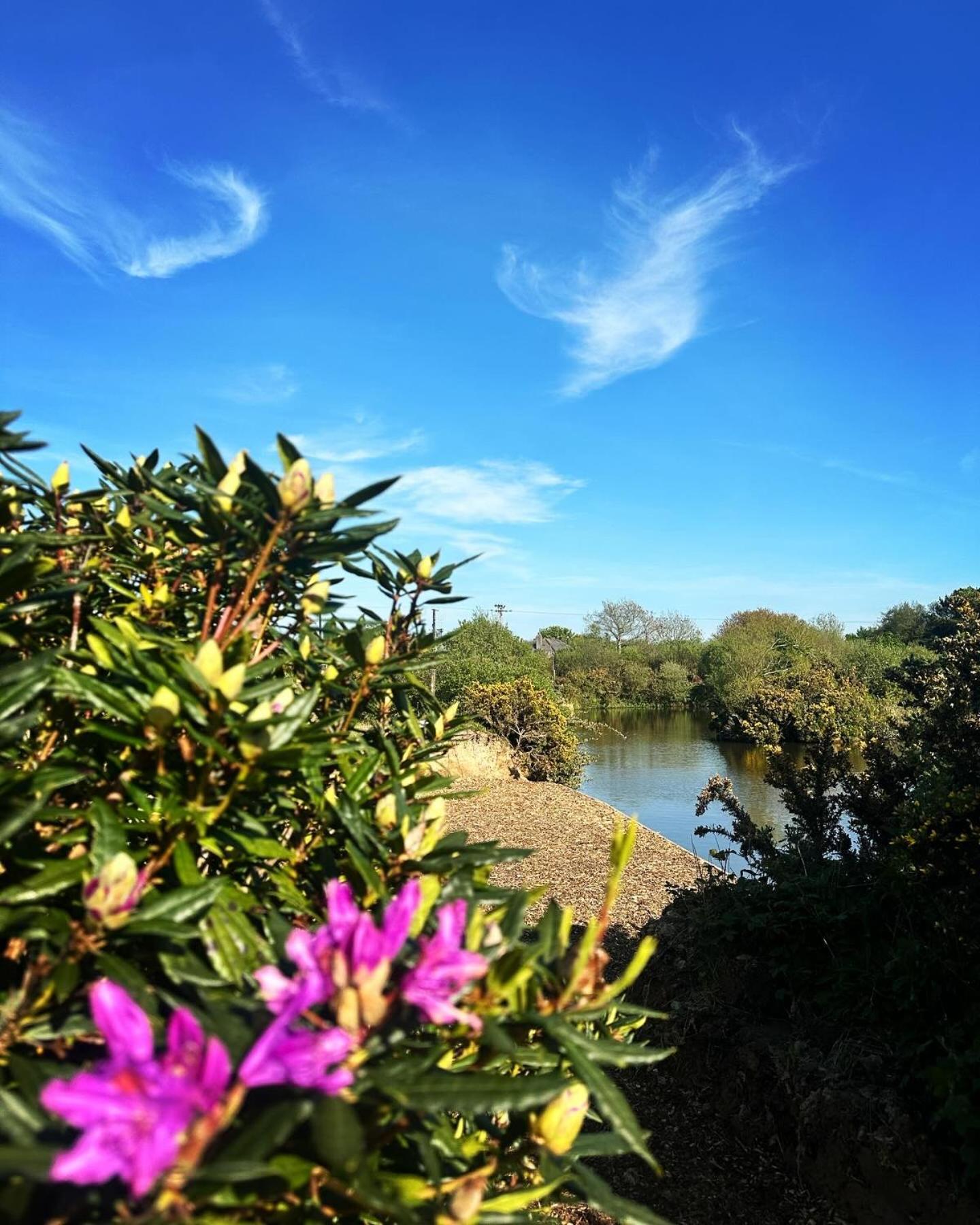 Lakeside Glamping Firecrest St Columb Major Extérieur photo