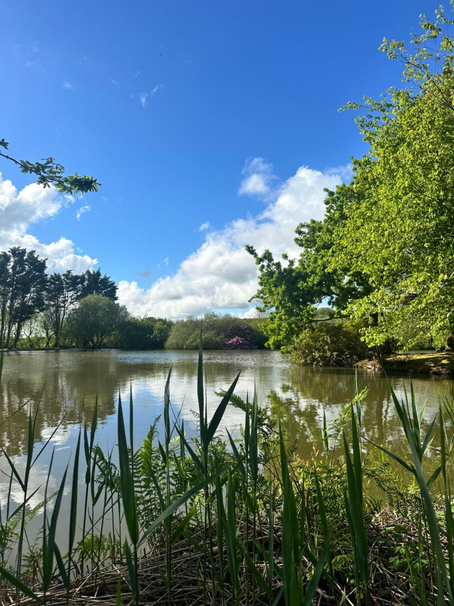 Lakeside Glamping Firecrest St Columb Major Extérieur photo
