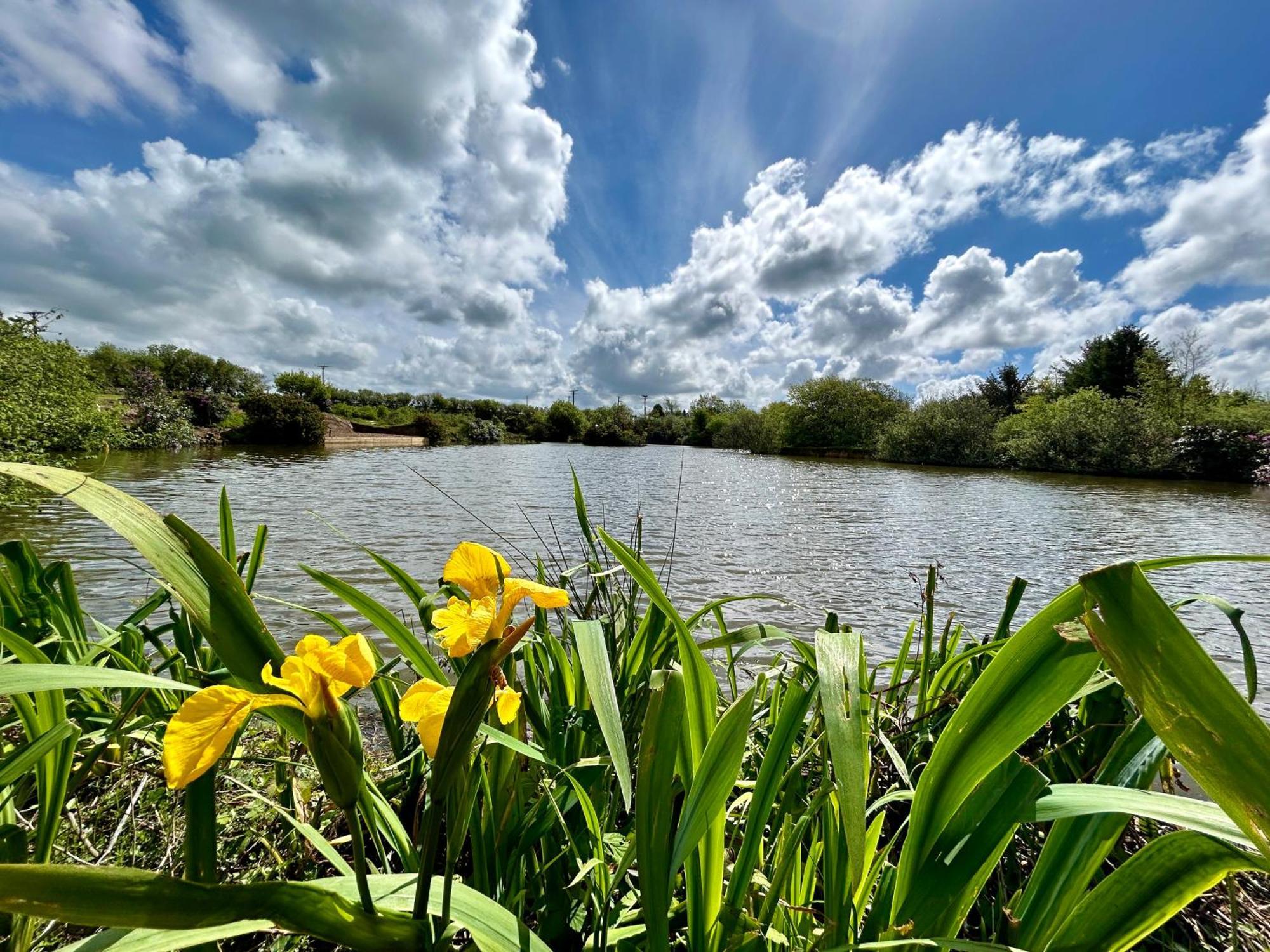Lakeside Glamping Firecrest St Columb Major Extérieur photo