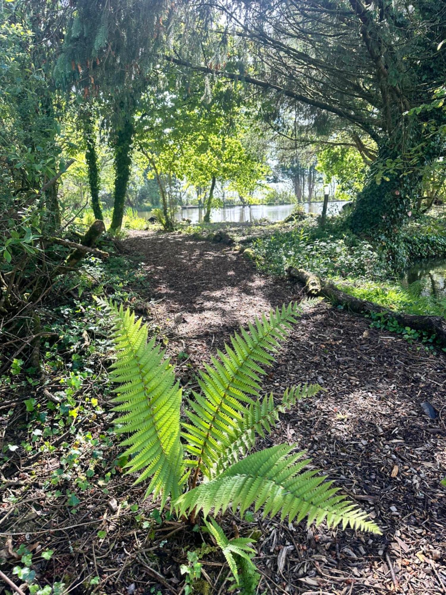 Lakeside Glamping Firecrest St Columb Major Extérieur photo